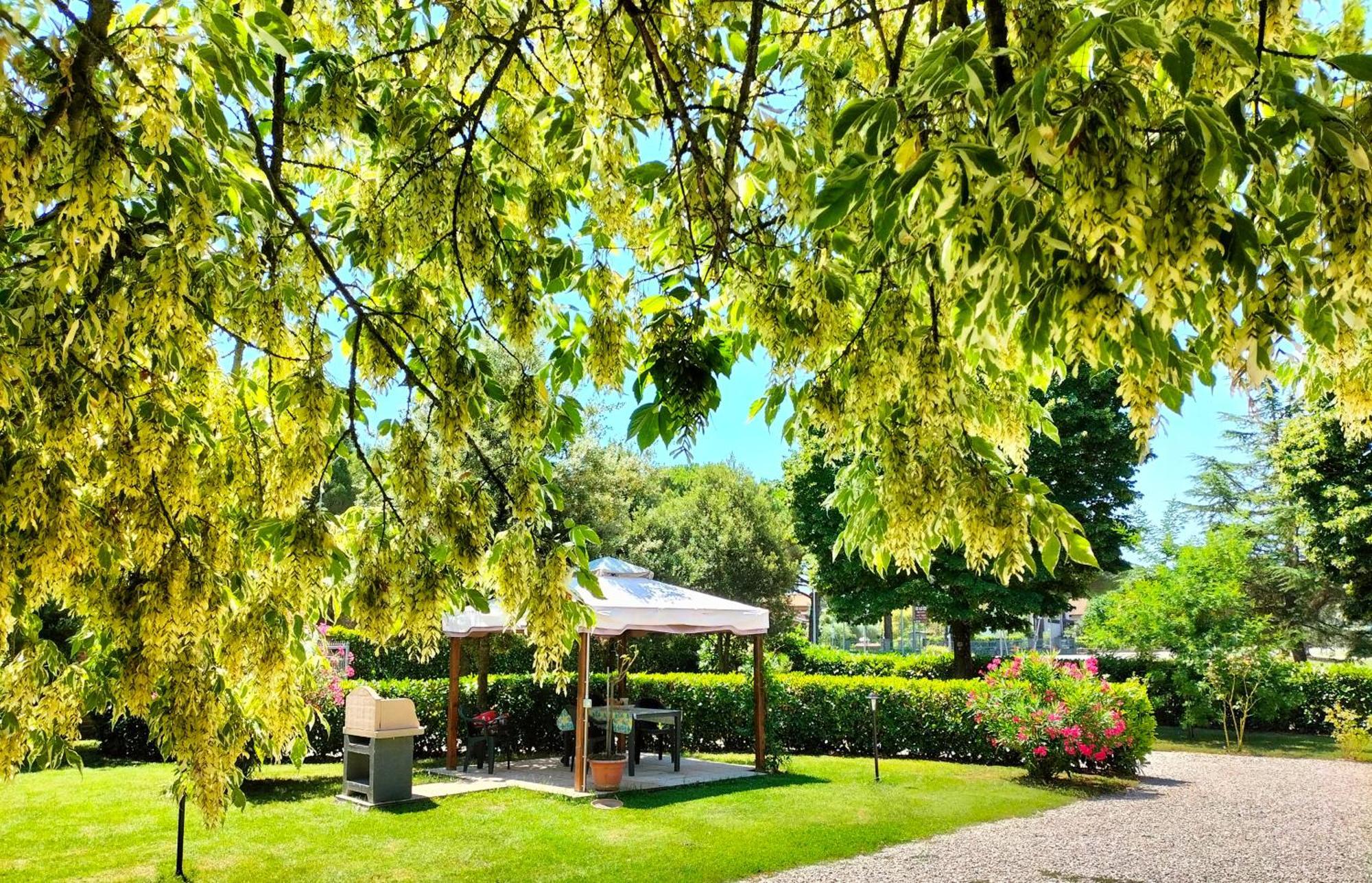 Casa Vacanze Bonardini Villa Castiglione del Lago Buitenkant foto